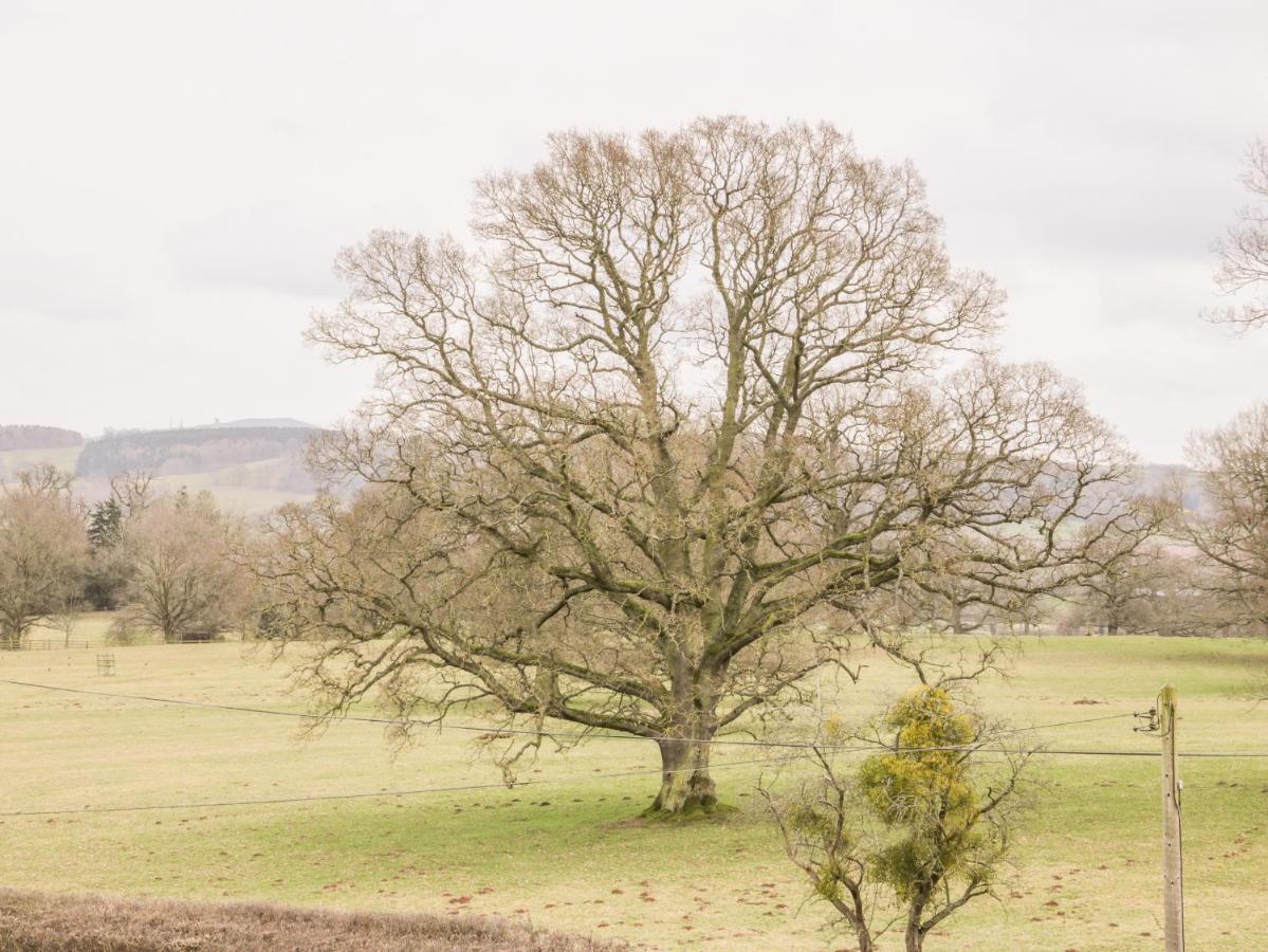 Oakland Cottage Craven Arms Ngoại thất bức ảnh